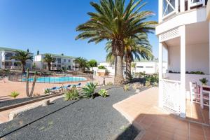 a resort with a palm tree and a swimming pool at Relax Holidays Corralejo in Corralejo