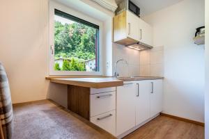 a kitchen with a sink and a window at Talblick Apartement 2 in Laion