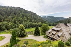 an aerial view of a house in the mountains at Pension Alte Gerbe in Außerurberg