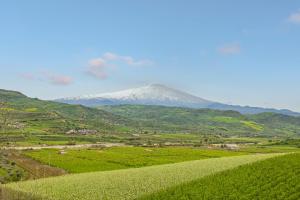 a mountain in the distance with a green field at Sentiti A Casa - Bronte in Bronte +11 photos