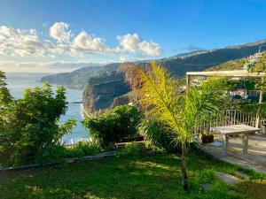 a palm tree and a bench overlooking the ocean at Sunset Cliffs By Slice Of Heaven in Ribeira Brava