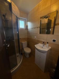 a bathroom with a toilet and a sink and a shower at Nocowanie w młynie in Niedzica +5 photos