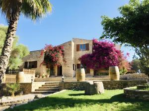 a house with a palm tree in front of it at Sa Mesquida de D’alt in Capdepera