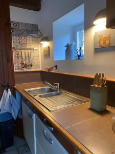 a kitchen with a sink and a counter at Gîte De La Ferme Du Tilleul in La Pellerine +15 photos