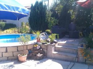 a backyard with a swimming pool with stairs and plants at Ferienwohnung Seilerberg in Freiberg +4 photos