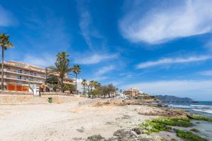 a beach with palm trees and hotels on it at Frente al mar in Cala Millor