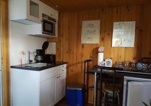 a kitchen with a sink and a counter top at Ferienhaus Fechter in Lanz