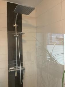 a shower with a shower head in a bathroom at Bohlen Rhede in Rhede