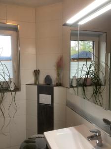 a bathroom with a sink and a mirror at Bohlen Rhede in Rhede