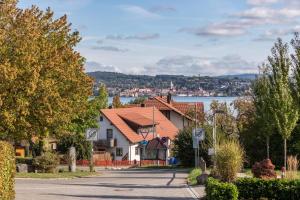 a house on a street with a lake in the background at Ferienwohnung Lago in Konstanz