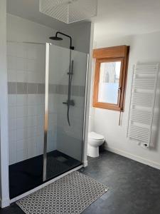 a bathroom with a shower with a toilet and a window at Maison proche dinan au calme in Aucaleuc +8 photos