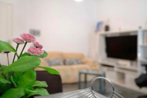 a plant with pink flowers in a living room at Piso Leon y Castillo in Arrecife +12 photos