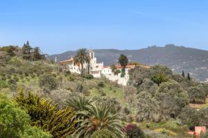 a house on top of a hill with trees at Retiro Canario in Santa Brígida