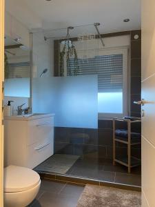 a bathroom with a toilet and a sink and a mirror at Fewo Lago di Costanza I in Friedrichshafen +15 photos