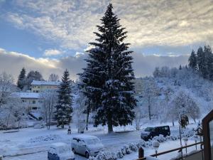a snow covered christmas tree with cars parked around it at Ferienwohnung 109 Schwarzwald in Schönwald