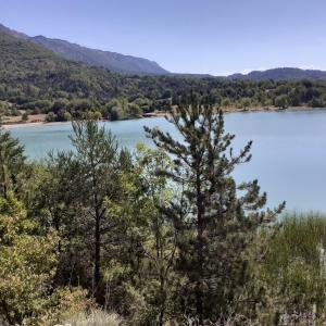 a view of a lake with trees in the foreground at Gîte Paysan La Grange in Montrond