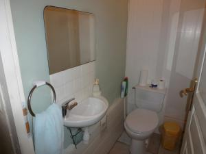 a small bathroom with a sink and a toilet at Le Gite Amical des Chiens in Penne-dʼAgenais +17 photos