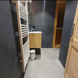 a bathroom with a toilet and a sink at L'échappée Belle - Chatel in Châtel