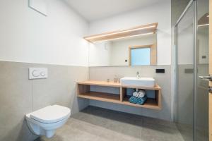 a bathroom with a toilet sink and a mirror at Sunnig Apartment Sonnenschein in Vollan