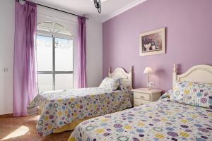 two beds in a bedroom with purple walls and a window at Chalet Fuente3 piscina común famila in Conil de la Frontera +16 photos