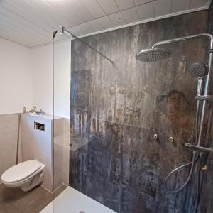 a bathroom with a shower and a toilet at Ferienhaus Hahnenklee in Goslar +46 photos
