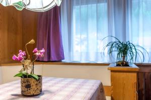 two vases with flowers on a table in a room at Dolomites Apartment Christian in Ortisei