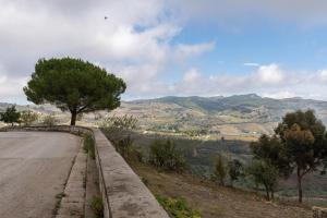 a road with a tree on the side of it at Civico17 in Santa Ninfa