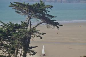 a sail boat on a beach with a tree at La Saint Pabu'lle in Pléneuf-Val-André