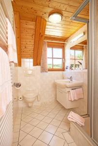 a bathroom with a toilet and a sink at Ferienhaus Esche in Hinterzarten +42 photos