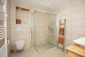 a bathroom with a shower and a toilet and a sink at Appartement de charme - La Tour in La Tour