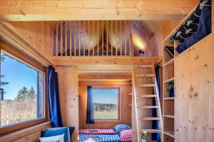 ein Baumhaus mit Etagenbett und Leiter in der Unterkunft Tiny Houses der Dorfscheune in Bieselberg