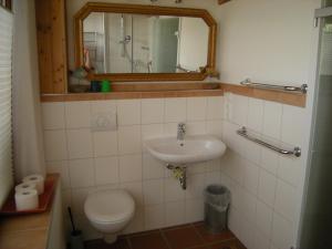 a bathroom with a sink and a toilet and a mirror at Rhön-Antik in Dipperz +24 photos