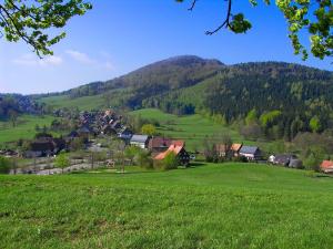 a village in a green field with a mountain at Ferienwohnung Am Heideborn in Großschönau