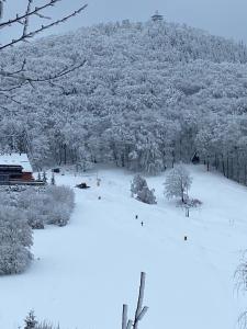 a snow covered hill with trees and a mountain at Ferienwohnung Am Heideborn in Großschönau +2 photos