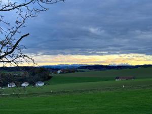 a green field with houses and mountains in the distance at Außergewöhnliches Loft Senftenbach in Senftenbach