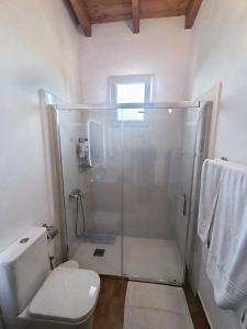 a white bathroom with a shower and a toilet at Casas Quemahierro in Icod de los Vinos +15 photos