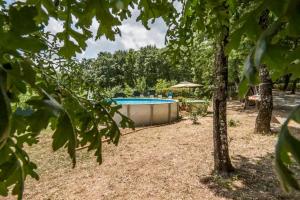 a swimming pool in a yard with trees at Faetino - Pavone in Colle di Val d'Elsa