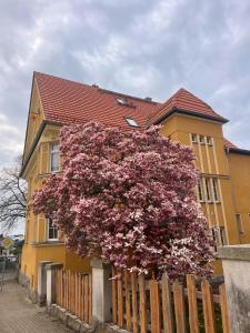 a large flowering tree in front of a yellow house at Wohnen in der alten Max Selbmann Villa in Hohenstein-Ernstthal