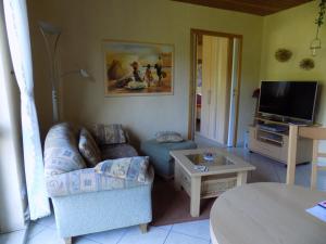a living room with a couch and a tv at Ferienwohnung Evi Opp - Harmonie in Brodersdorf