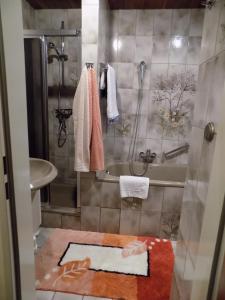 a bathroom with a shower and a tub and a sink at Ferienwohnung Evi Opp - Harmonie in Brodersdorf