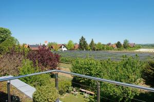 a view of a garden from a balcony at Ferienwohnungen Riedel in Immenstaad am Bodensee