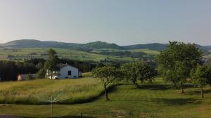 a white house in a field with trees at Haus Edith in Gersfeld