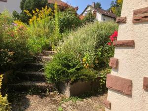 a garden with some plants and a staircase at Haus Hubertus in Enzklösterle