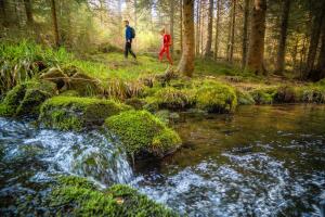 two people walking in the woods by a stream at Haus Hubertus in Enzklösterle