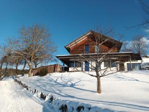 a log cabin in the snow with a tree at Haus am Teich mit privater Sauna in Sankt Leonhard bei Freistadt