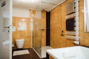 a bathroom with a shower and a sink and a toilet at Idylische Ferienunterkunft in Heitersheim +20 photos