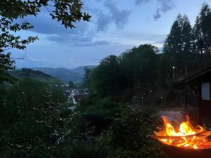 a fire pit in a yard with a view of a city at Ferienhaus Lena in Seebach +5 photos