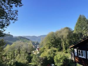a view of the mountains from a house at Ferienhaus Lena in Seebach
