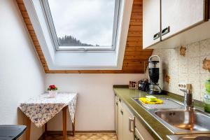 a kitchen with a sink and a window at Haus Irmgard in Lenzkirch