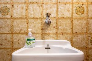 a white sink with a bottle of soap on it at Haus Irmgard in Lenzkirch +26 photos